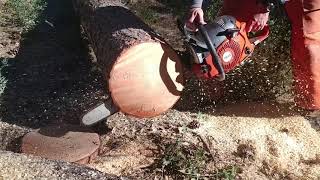 Stihl 461 vs Husqvarna 372 vs Dolmar 7910 vs Makita 7900 chainsaw [upl. by Ellenehs914]