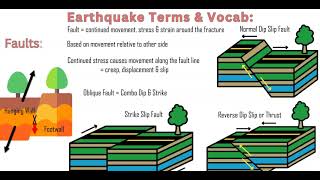 Earthquake amp Seismology Unit Review Vocab amp Terms [upl. by Hewart347]