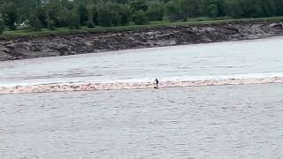 Tidal bore surfing on the Petitcodiac River  Moncton July 6 2024 [upl. by Akaenahs518]