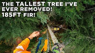 The TALLEST Tree Ive Ever Removed  185ft Fir Tree Removal [upl. by Shawna]