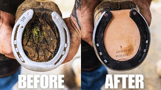 Satisfying Farrier Hoof Restoration ASMR [upl. by Anaiq]