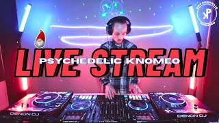 Psychedelic Knomeo  Live Stream  10224  House Tech House Techno [upl. by Aremus154]