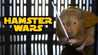 Hamster Wars  Star Wars with Hamsters [upl. by Enenej]