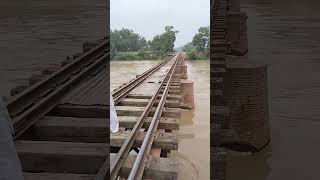 lay vekh shama pe gaiyan pakistan farooqabad sheikhupura shortvideo [upl. by Yrrep]