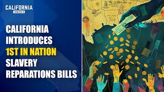 California Introduces 1stInNation Slavery Reparations Bills  How Will It Work  Will Swaim [upl. by Stanway]