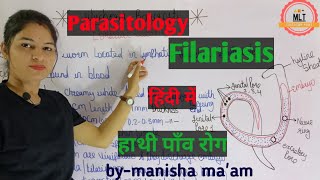 Filariasis हाथीपाँव  wuchereria bancrofti  Microfilaria  Mlt Lecture  Parasitology [upl. by Arfihs]