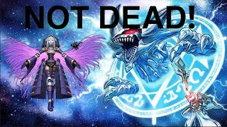 4th place Invoked shaddoll Dogmatika deck profile JanFebruary 2024 [upl. by Elleraj583]