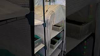 Eds DIAPER TEK  tent shelving fans and incontinence pads [upl. by Attekal]