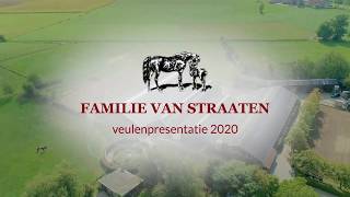 Veulenpresentatie 2020 Familie van Straaten Den Ham [upl. by Franek]