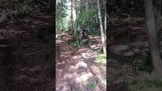 BIG STEP and WALL  JUMP  Trial Montesa 301 trials honda training jump extreme [upl. by Ellerey]