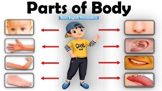 Learn Parts Of Body Name  Parts of Body Name in English  Human Body Parts  Basic English Learning [upl. by Assi800]