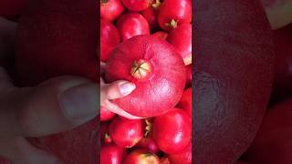 Amazing pomegranate cutting skills pomegranate cuttingskills shorts [upl. by Spalding]