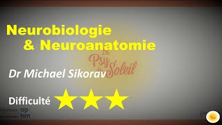 Neurobiologie amp neuroanatomie  Dr Michael SIKORAV [upl. by Eonak]