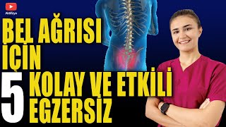 BEL AĞRISI İÇİN 5 KOLAY EGZERSİZ Bel fıtığı Bel düzleşmesi için [upl. by Edson]