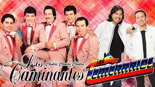 LOS TEMERARIOS Y LOS CAMINANTES PURAS RANCHERAS PARA PISTEAR  TEMERARIOS Y CAMINANTES RANCHERAS MIX [upl. by Keating729]