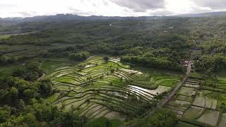 Footage Drone In Village [upl. by Hanid710]