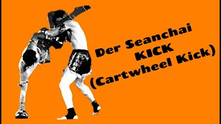 in 4 Schritten zum Saenchai Kick [upl. by Mirisola]