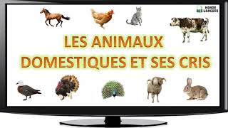 Les animaux domestiques et ses cris [upl. by Adnuhs]