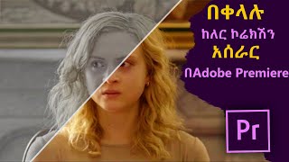 በቀላሉ ከለር ኮሬክሽን አሰራር በAdobe Premiere  How to Color Grade in Adobe Premiere [upl. by Astera]