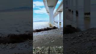 The River Bridge ALMOST BROKE in This INSANE Storm Footage shorts nature aihanck viralvideo [upl. by Naujik869]