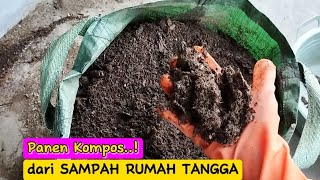 Panen Kompos dari sampah rumah tangga [upl. by Varhol641]