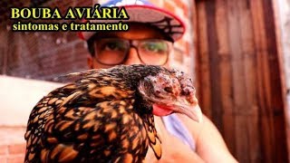 TRATAMENTO DA BOUBA AVIÁRIA [upl. by Ruyle882]