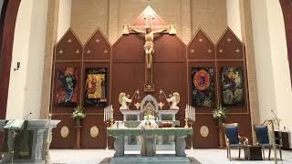 Our Lady Help of Christians Mass Tuesday 21 November 2023 630pm [upl. by Tailor]