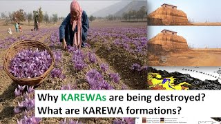 Why Kashmirs KAREWAS Saffron formations are in danger [upl. by Goldie]