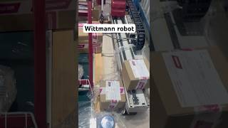 Wittmann robot wittmann robotmachine injectionmould mould industrialrobot [upl. by Noseimaj276]