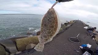 The next day Murrells Inlet SC Jetty [upl. by Philly]