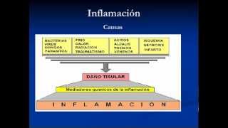 Inflamacion  Fisiopatologia Parte 1 [upl. by Maillil651]