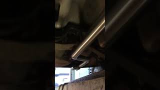 BMW e46 330d straight pipe exhaust sound [upl. by Anirrehs]