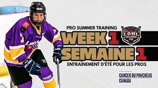 Sem 1  Week 1 LSHL WomenFemme  Living Sisu Hockey Charitable Event PWHL NHL [upl. by Alolomo]