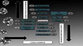 Grados y tipos de parentesco [upl. by Zampino]