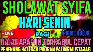 SHOLAWAT SYIFA  THIBBIL QULUB  HARI SENIN PAGI PENENANG HATI DAN PIKIRAN SANGAT MUSTAJAB SEKALI [upl. by Fellows]