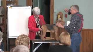 The Lakeland Terrier  Breed Education  Part 4 [upl. by Serolod510]