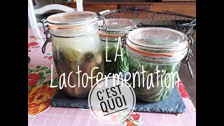 La LACTOFERMENTATION  Méthode et conserves de Haricots verts [upl. by Latoya433]