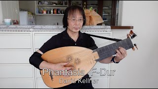 quotリュート Lute Luth“ Phantasia FDur David Kellner “Baroque Lute バロックリュート” [upl. by Tiras]