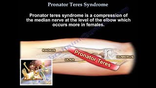 Pronator Teres Syndrome  Everything You Need To Know  Dr Nabil Ebraheim [upl. by Dolora]