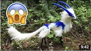 Top 10 Rarest Animals in the World  Watch video [upl. by Adnimra]