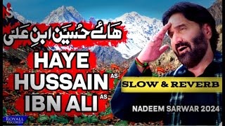 chlay Ao aye zawaro  slowed and reverb  Nadeem sarwar noha  1446 [upl. by Yehtomit]