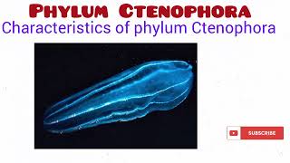 Phylum Ctenophora [upl. by Maise]