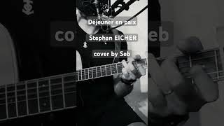 Déjeuner en paix  Stephan EICHER  cover by Seb [upl. by Sumahs282]