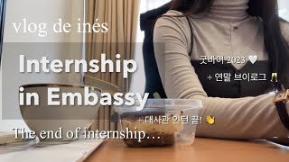 VLOG  대사관 인턴 끝 👋  연말 브이로그  와인 파티 🥂🍾  변산반도 가족여행 소노벨  굿바이 2023 🤍 [upl. by Aveneg]