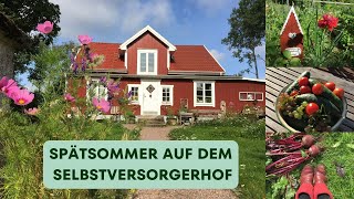 Unser Hof in Schweden  Spätsommer im Wald  Gartenarbeiten ernten kochen Pilze sammeln [upl. by Egiarc]