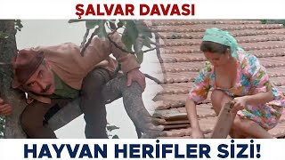 Şalvar Davası  Köy yerinde dul bir tazenin peşinde hepsi [upl. by Azilanna426]