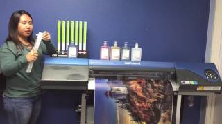 JETBEST MAX eco solvent ink 500for Roland VS300 VS540 VS640 500ML by PREMIER COLOUR [upl. by Gorman]