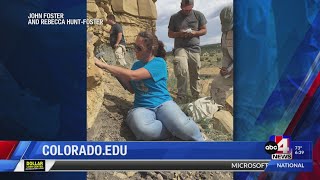 Paleontologists unearth 70millionyearold ‘swamp dweller’ fossil in Colorado [upl. by Aizatsana]