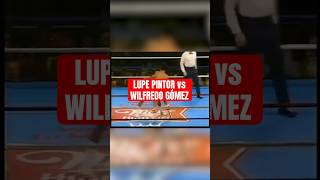 Lupe Pintor y Wilfredo Gómez una espectacular pelea de los 80’s 🥊 boxing boxeo [upl. by Fagaly]