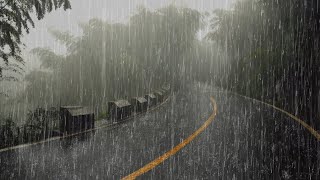 Sonido de Lluvia para Dormir Profundamente y Relajarse en 5 Minutos  Lluvia en el Selva Tropical [upl. by Ayotal451]